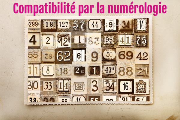 Compatibilite par la numerologie